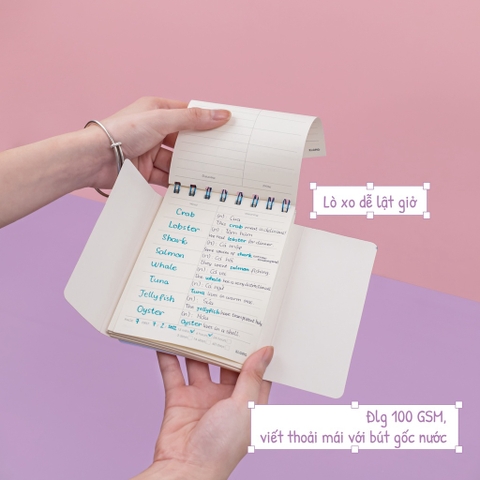 Sổ học từ vựng Word Study A6 - 120 trang; MS: 916