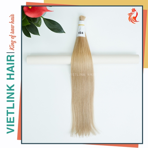 VIETNAMESE STRAIGHT BULK HAIR | #60A COLOR