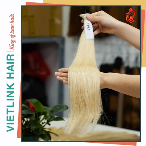 VIETNAMESE STRAIGHT BULK HAIR | #10.1 COLOR