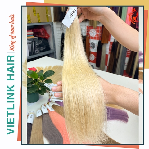 VIETNAMESE STRAIGHT BULK HAIR | #1001 COLOR