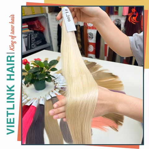 VIETNAMESE STRAIGHT BULK HAIR | #1200 COLOR