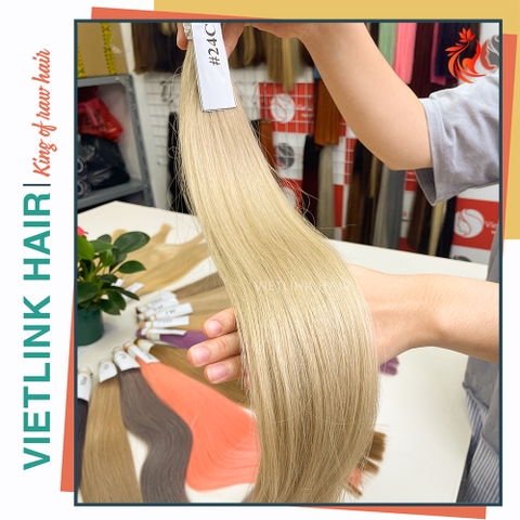 VIETNAMESE STRAIGHT BULK HAIR | #24C COLOR