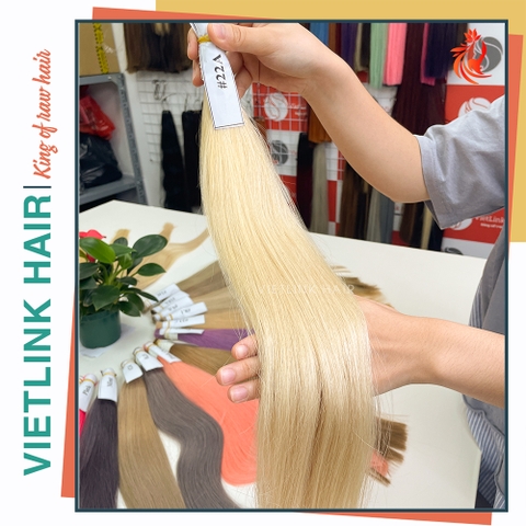 VIETNAMESE STRAIGHT BULK HAIR | #22A COLOR