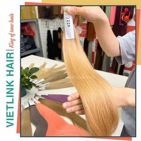 VIETNAMESE STRAIGHT BULK HAIR | #22C COLOR