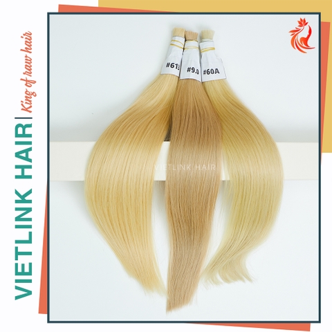 VIETNAMESE STRAIGHT BULK HAIR | #613 #9.0 #60A COLOR