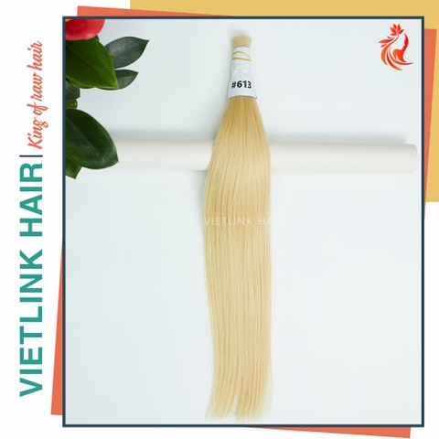 VIETNAMESE STRAIGHT BULK HAIR | #613 COLOR