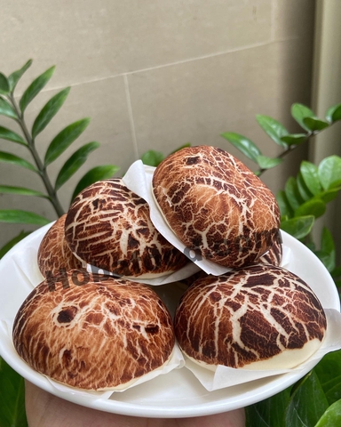 Bánh bao Nấm 40G