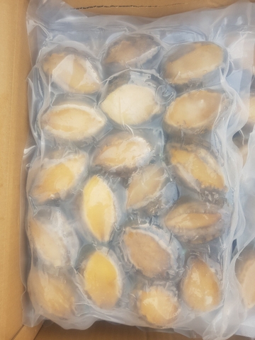 Bào Ngư size 18-20