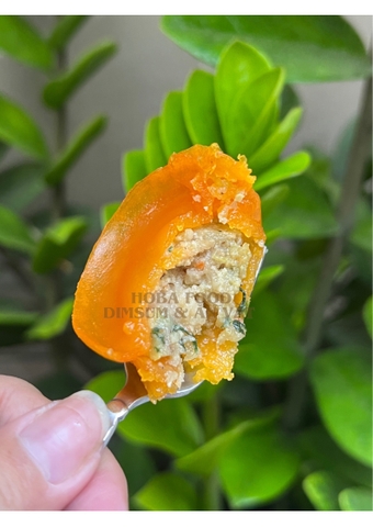 Há Cảo Cá Hồi 25G