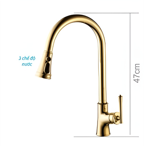 Vòi rửa chén bát nóng lạnh mạ vàng B-GEM BG-Z003 tại thành phố Hồ Chí Minh