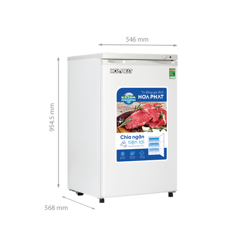 Tủ đông Hòa Phát đứng HPF UAH6106 tại thành phố Hồ Chí Minh