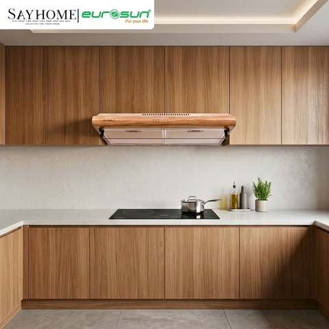 Máy hút mùi âm tủ EUROSUN EH-70C18V/EH-70C18S tại thành phố Hồ Chí Minh