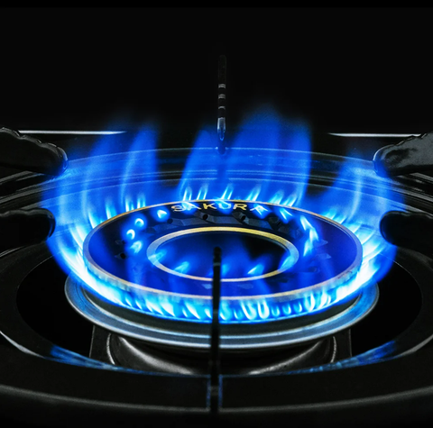 Bếp gas đôi SAKURA SA-796LE tại thành phố Hồ Chí Minh