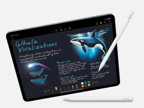 Hướng dẫn chọn Apple Pencil phù hợp với iPad 