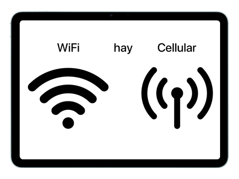 Nên lựa chọn phiên bản Wi-Fi hay Cellular cho iPad?