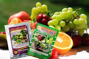 PHÂN BÓN RONG BIỂN UY TÍN, CHẤT LƯỢNG