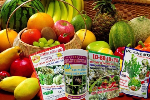 PHÂN BÓN RA HOA ĐẬU QUẢ TỐT NHẤT CHO NHÀ NÔNG