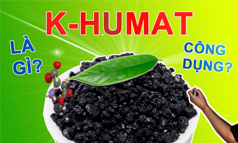 K-HUMAT LÀ GÌ? TẠI SAO NÓ CẦN THIẾT CHO CÂY TRỒNG CỦA BẠN!
