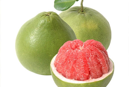 MỘT SỐ SÂU BỆNH HẠI THƯỜNG GẶP TRÊN CÂY BƯỞI DA XANH