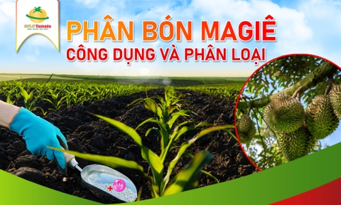 Phân Bón Trung Lượng Magiê Có Công Dụng Gì?