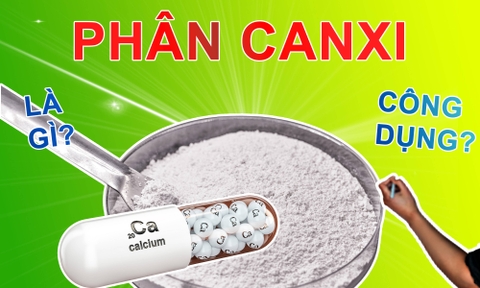 Phân Canxi có tác dụng gì? | Tổng hợp thông tin về Canxi Nitrat, Canxi Magie và Tinh Vôi.