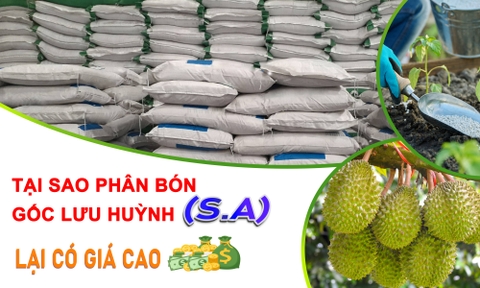 S.A, Magie Sunfat và Kali Trắng - Tại sao có giá rất cao | Nông Nghiệp Tomato