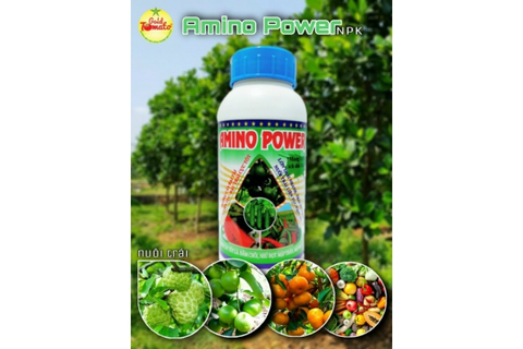 AMINO POWER