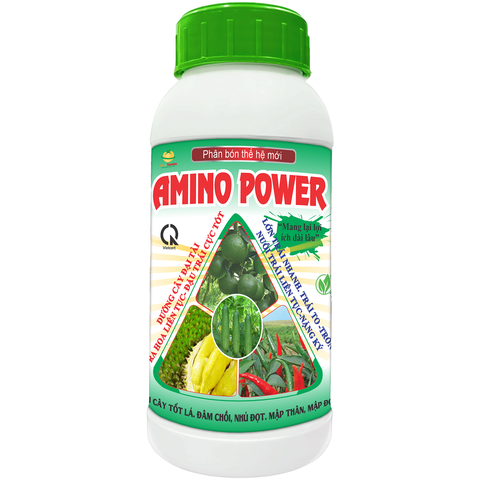 AMINO POWER