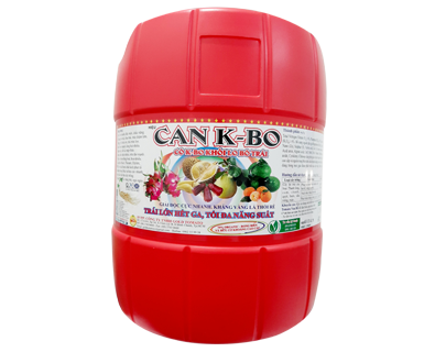 CAN K-BO