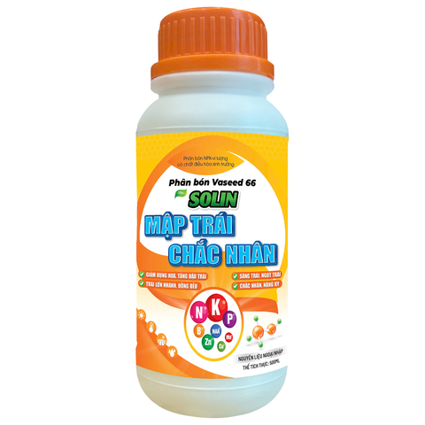 SOLIN (Mập Trái, Chắc Nhân)