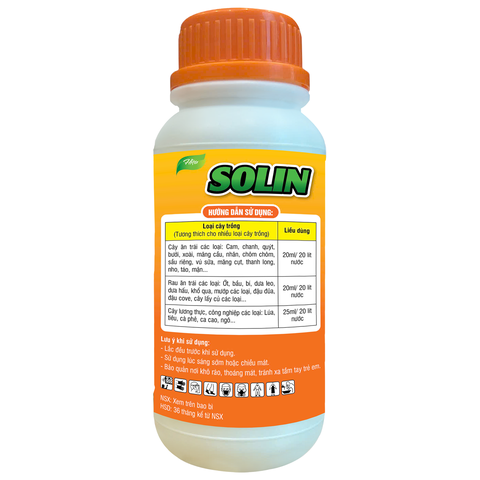 SOLIN (Mập Trái, Chắc Nhân)