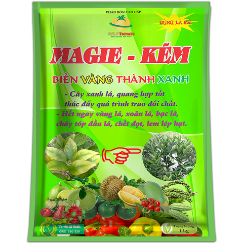 MAGIE KẼM