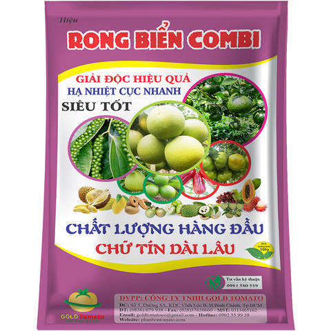 RONG BIỂN COMBI