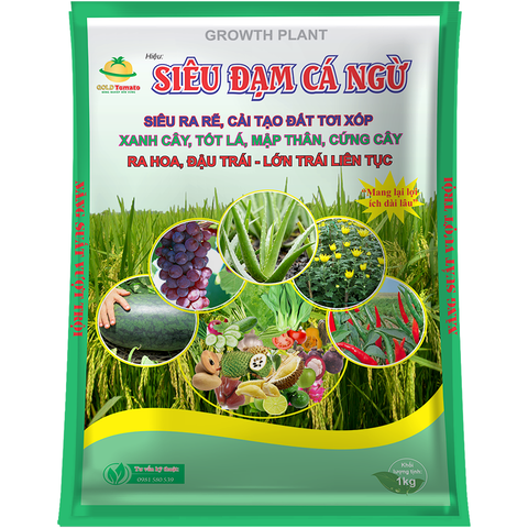 SIÊU ĐẠM CÁ NGỪ