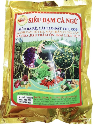 SIÊU ĐẠM CÁ NGỪ