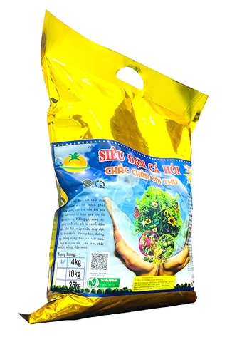 SIÊU ĐẠM CÁ HỒI