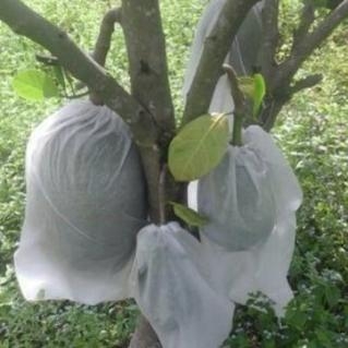 ( Sỉ) Combo 100 Túi lọc trà, cà phê vải không dệt có dây rút - Túi lọc nhiều kích thước