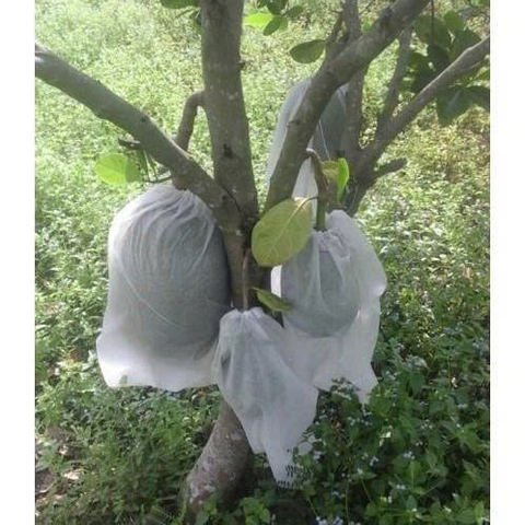 ( Sỉ) Combo 100 Túi lọc trà, cà phê vải không dệt có dây rút - Túi lọc nhiều kích thước