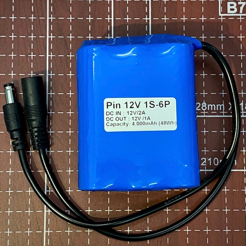 Pin lưu điện 12V 4.000mAh 48Wh 1S-6P