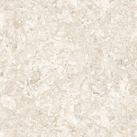 Gạch lát nền 600×600 vân bê tông