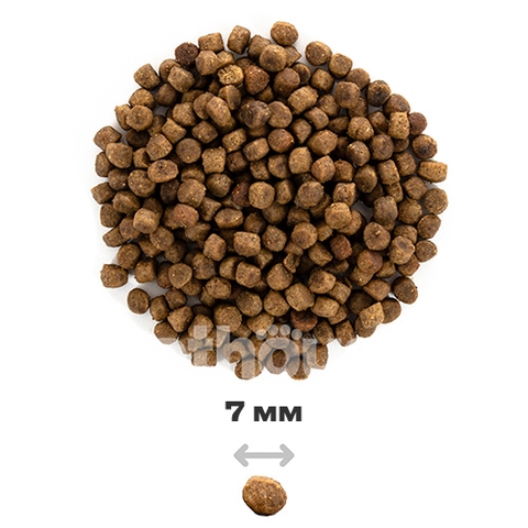 Hạt Brit Care KITTEN HEALTHY GROWTH & DEVELOPMENT Grain-Free cho Mèo Con