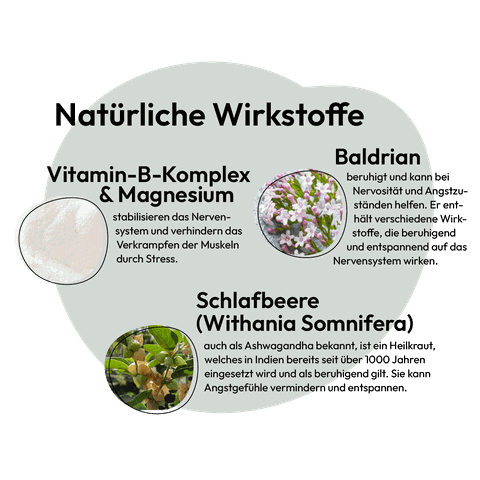 Viên Stress Tabletten GRAU giảm căng thẳng cho Chó