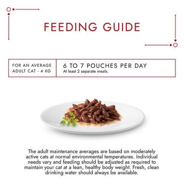 Pate Gourmet Mon Petit cho Mèo