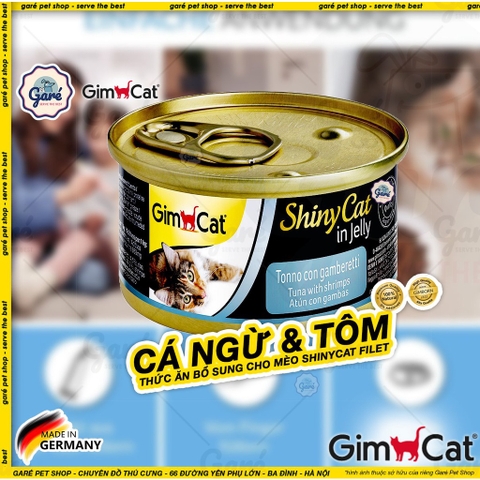 Shiny Cat Gimcat