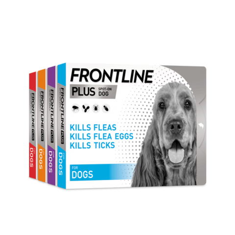 Nhỏ gáy Frontline Plus cho Chó