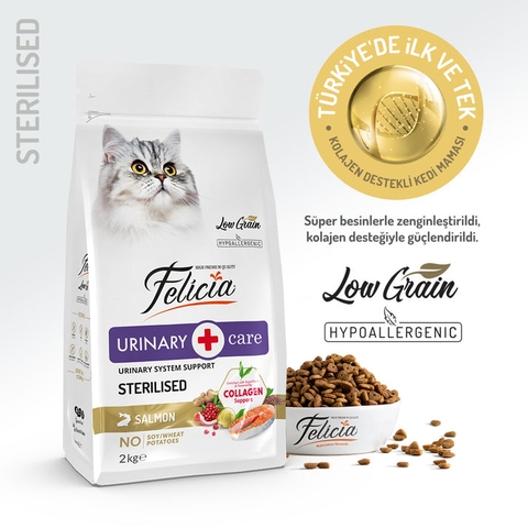 Hạt Felicia Urinary Sterilised Cat Salmon Hỗ trợ tiết niệu cho mèo triệt sản