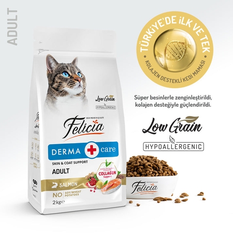 Hạt Felicia Derma Adult Cat Salmon hỗ trợ lông và da cho mèo lớn