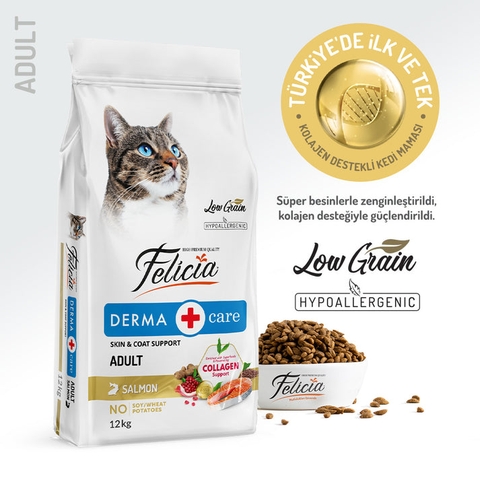 Hạt Felicia Derma Adult Cat Salmon hỗ trợ lông và da cho mèo lớn