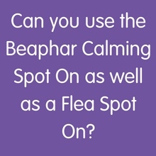 Vòng Beaphar Calming Collar cho Chó Mèo giảm căng thẳng