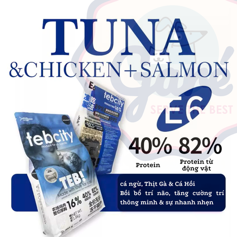 1.5kg SEAL TEB - Hạt Teb City cho Mèo